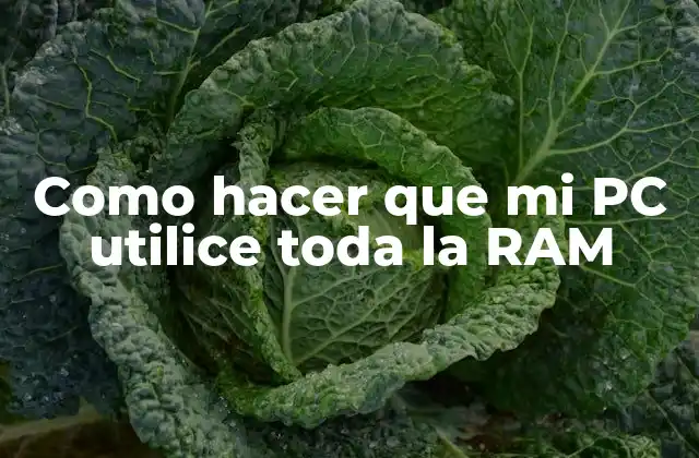 Como Hacer que Mi Pc Utilice Toda la Ram