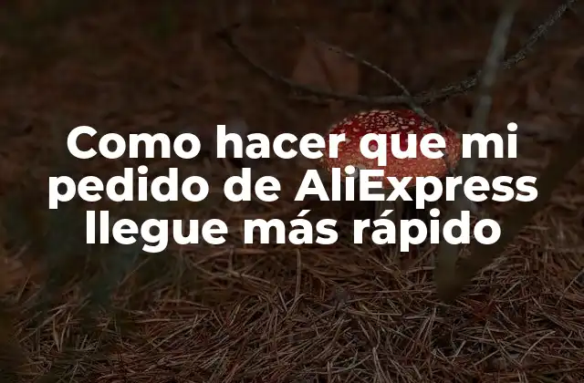 Como Hacer que Mi Pedido de Aliexpress Llegue Más Rápido