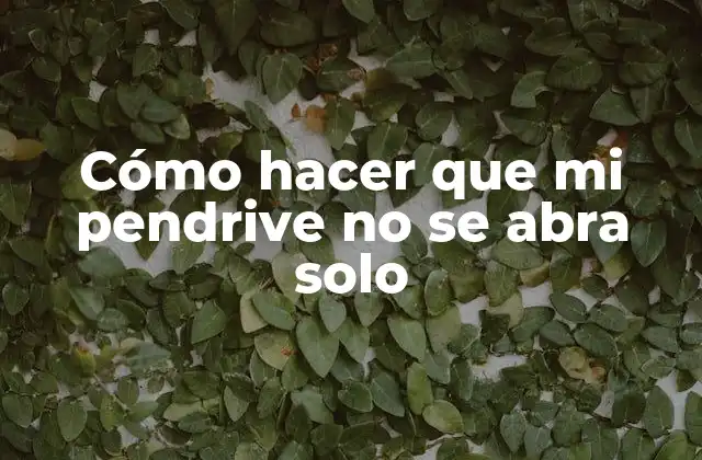 Cómo Hacer que Mi Pendrive No Se Abra Solo