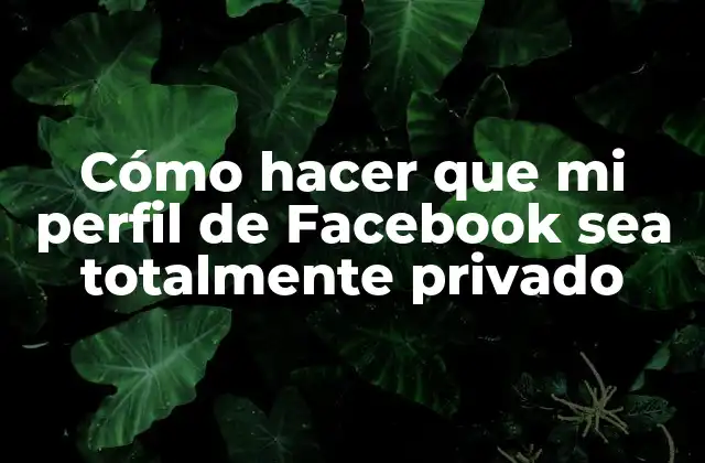 Cómo Hacer que Mi Perfil de Facebook Sea Totalmente Privado