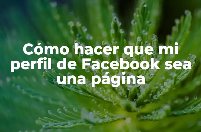 Cómo Hacer que Mi Perfil de Facebook Sea una Página