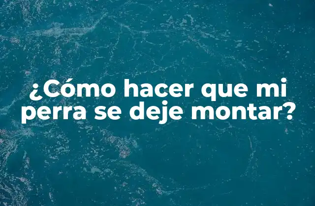 ¿cómo Hacer que Mi Perra Se Deje Montar?