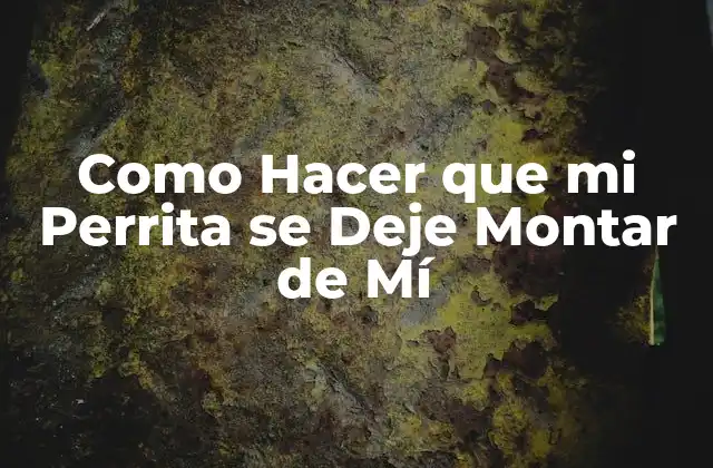 Como Hacer que Mi Perrita Se Deje Montar de Mí 2 ¿Qué es el Entrenamiento de Montura para Perritas y por qué es Importante?