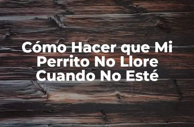 Cómo Hacer que Mi Perrito No Llore Cuando No Esté