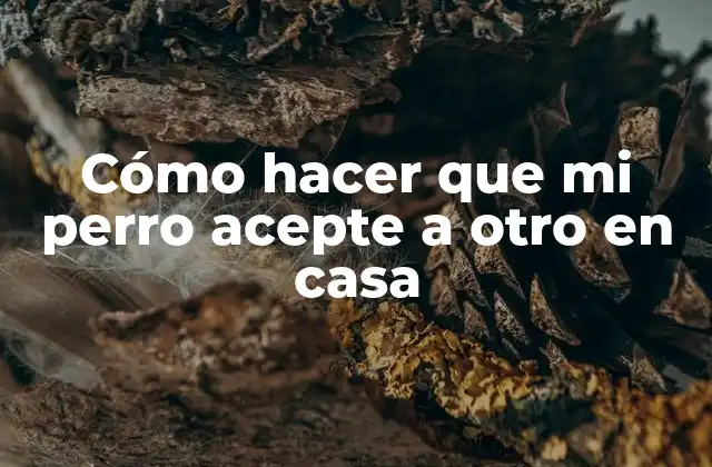 Cómo Hacer que Mi Perro Acepte a Otro en Casa