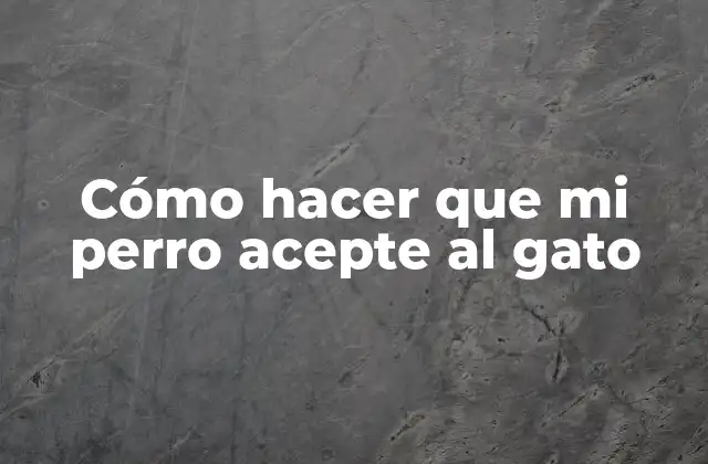 Cómo Hacer que Mi Perro Acepte Al Gato