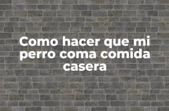 Como Hacer que Mi Perro Coma Comida Casera