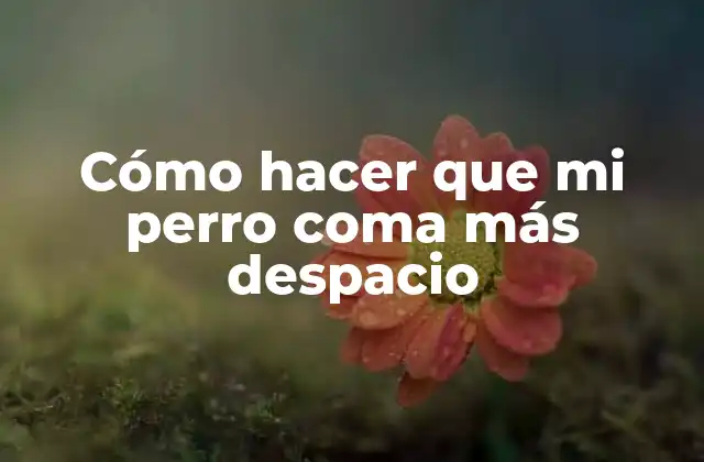 Cómo Hacer que Mi Perro Coma Más Despacio