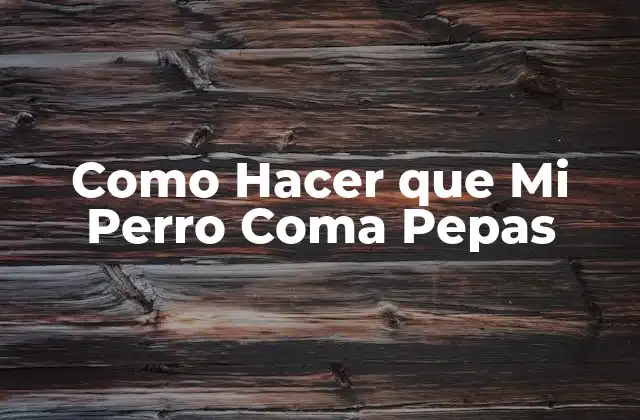 Como Hacer que Mi Perro Coma Pepas