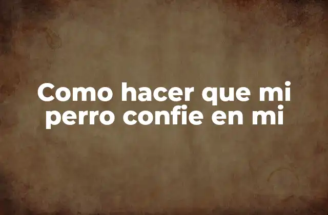 La importancia de la confianza en la relación entre tú y tu perro
