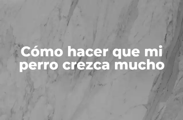 Cómo Hacer que Mi Perro Crezca Mucho