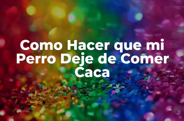 Como Hacer que Mi Perro Deje de Comer Caca