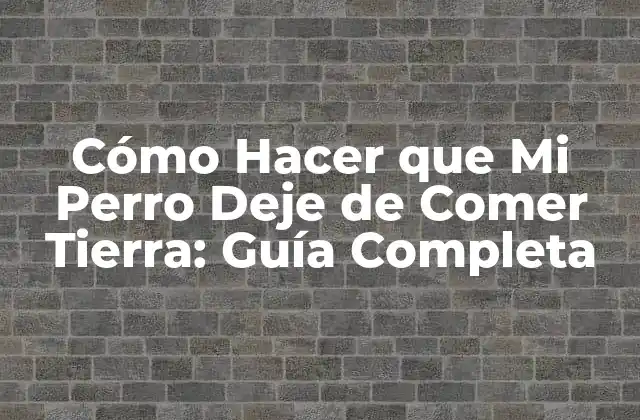 ¿Por qué Mi Perro Come Tierra?