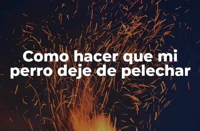 Como Hacer que Mi Perro Deje de Pelechar