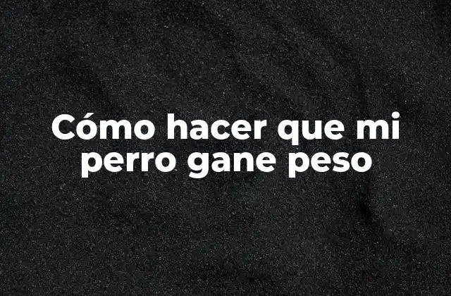 Cómo Hacer que Mi Perro Gane Peso