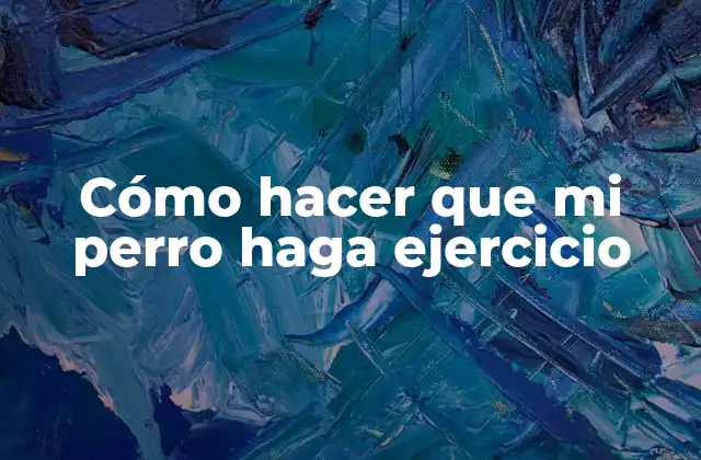 Cómo Hacer que Mi Perro Haga Ejercicio