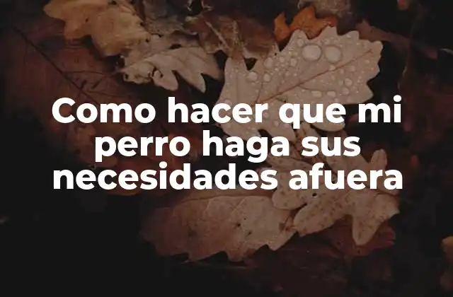 Como Hacer que Mi Perro Haga Sus Necesidades Afuera