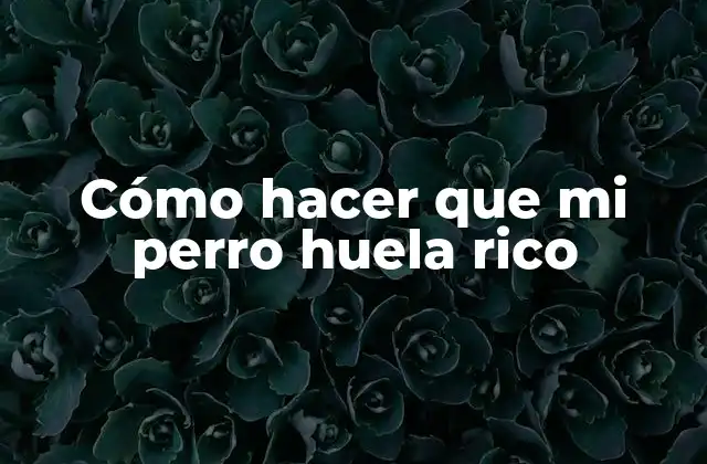 Cómo Hacer que Mi Perro Huela Rico 2 Cómo hacer que mi perro huela rico
