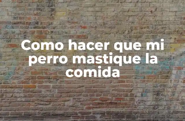 Como Hacer que Mi Perro Mastique la Comida