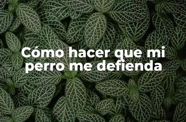 Cómo Hacer que Mi Perro Me Defienda