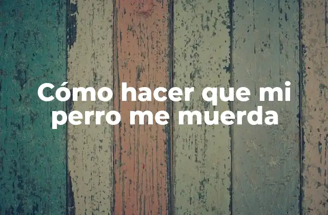 Cómo Hacer que Mi Perro Me Muerda