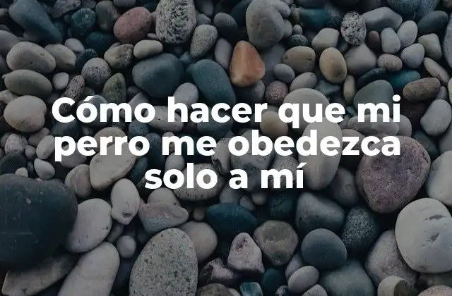 Entendiendo la obediencia canina