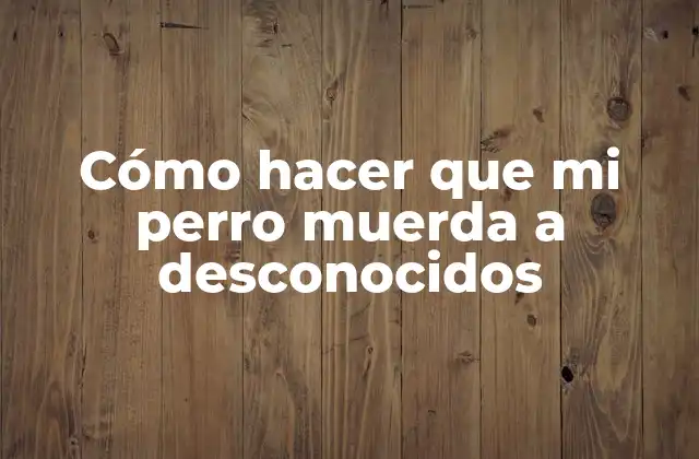 Cómo Hacer que Mi Perro Muerda a Desconocidos 2 Entrenamiento de defensa para perros