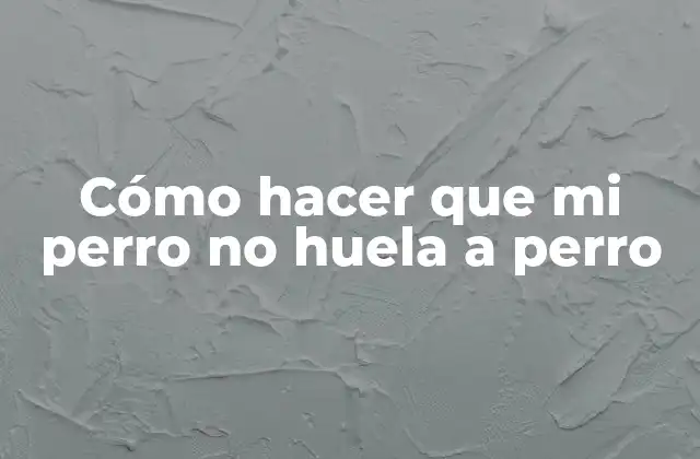 Cómo Hacer que Mi Perro No Huela a Perro 2 Cómo hacer que mi perro no huela a perro