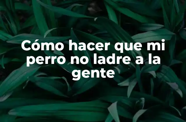 ¿Qué es el ladrido de mi perro y por qué lo hace?