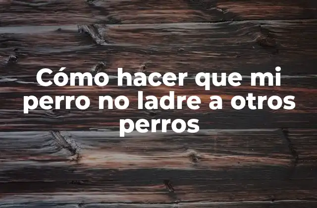 Cómo Hacer que Mi Perro No Ladre a Otros Perros 2 Cómo hacer que mi perro no ladre a otros perros