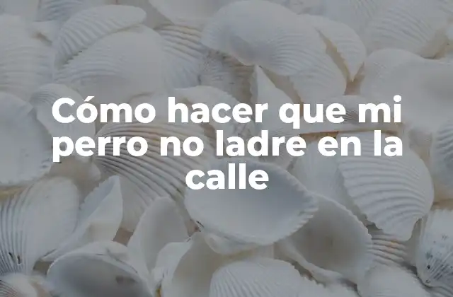 Cómo Hacer que Mi Perro No Ladre en la Calle