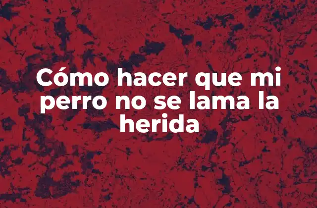 Cómo Hacer que Mi Perro No Se Lama la Herida 2 Cómo hacer que mi perro no se lama la herida