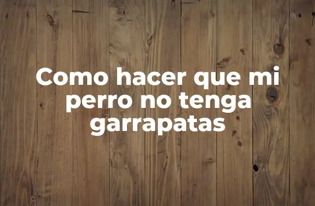 Como Hacer que Mi Perro No Tenga Garrapatas 2 ¿Qué son las garrapatas y por qué son peligrosas para tu perro?