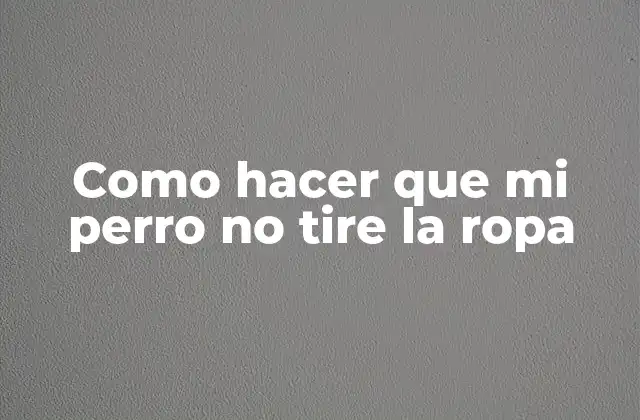 Como Hacer que Mi Perro No Tire la Ropa