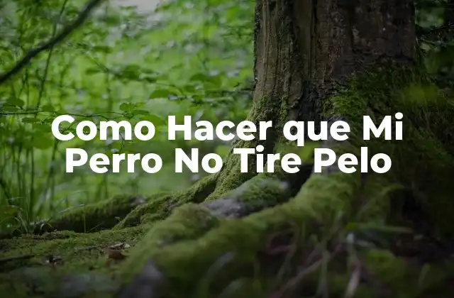 Como Hacer que Mi Perro No Tire Pelo