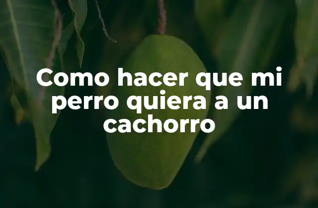 Como Hacer que Mi Perro Quiera a un Cachorro