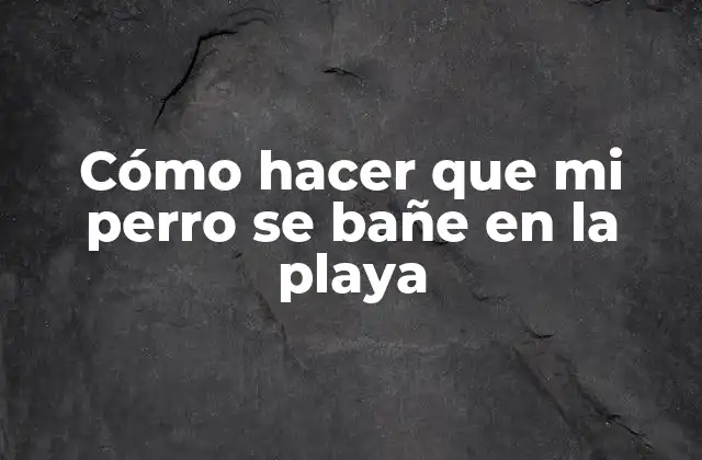 Cómo Hacer que Mi Perro Se Bañe en la Playa