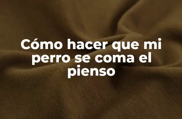 Cómo Hacer que Mi Perro Se Coma el Pienso