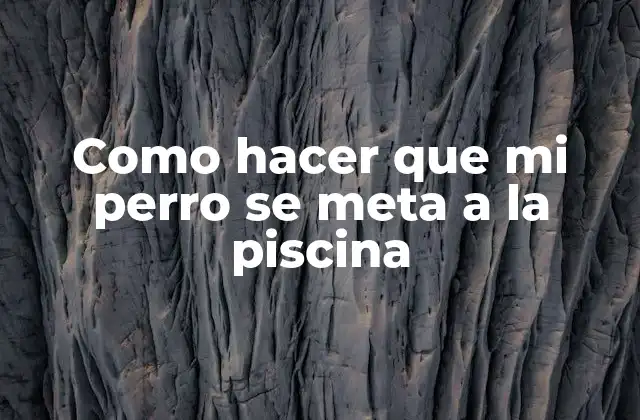 Como Hacer que Mi Perro Se Meta a la Piscina