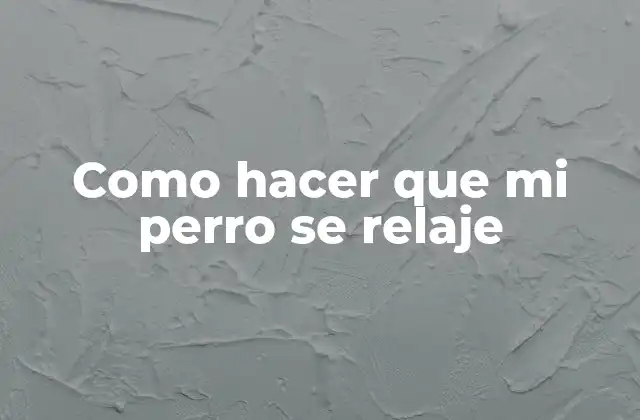 ¿Qué es la relajación canina y por qué es importante?