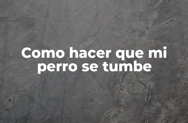 Como Hacer que Mi Perro Se Tumbe