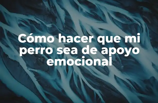 Cómo Hacer que Mi Perro Sea de Apoyo Emocional