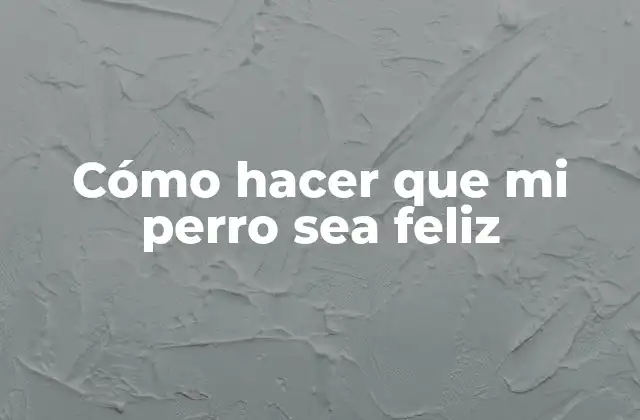 Cómo Hacer que Mi Perro Sea Feliz