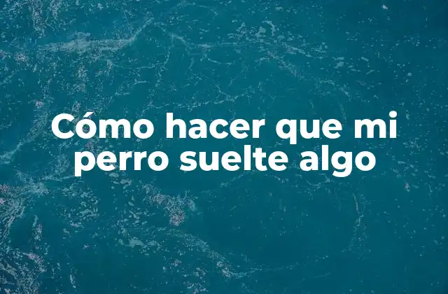 Cómo Hacer que Mi Perro Suelte Algo 2 Cómo hacer que mi perro suelte algo