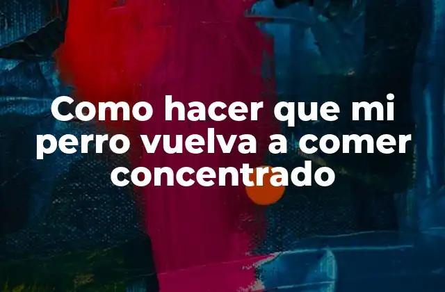 Como Hacer que Mi Perro Vuelva a Comer Concentrado