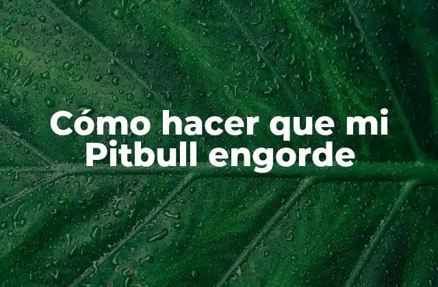 Cómo Hacer que Mi Pitbull Engorde