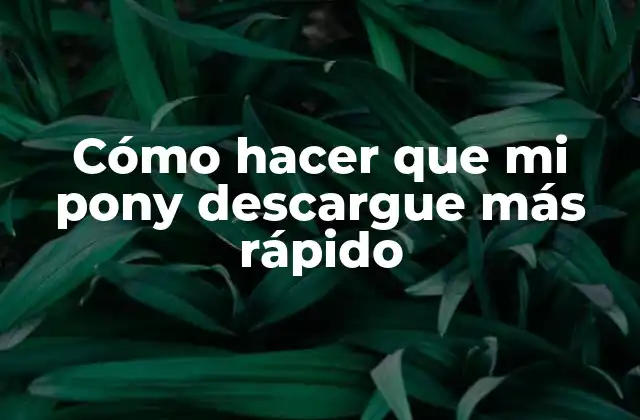 ¿Qué es Pony y cómo funciona?