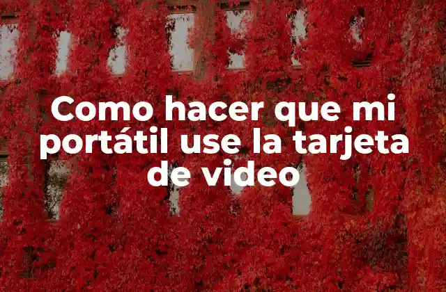 Como Hacer que Mi Portátil Use la Tarjeta de Video
