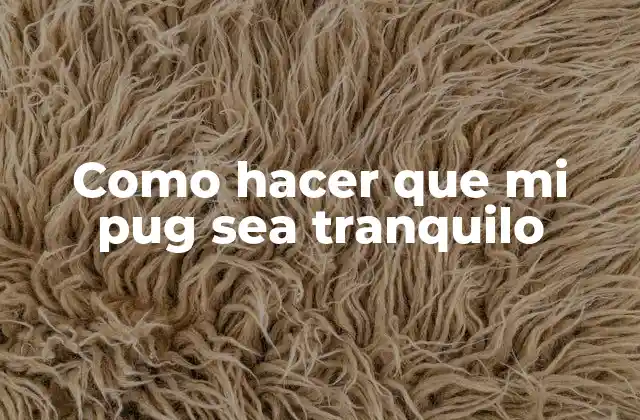 Como Hacer que Mi Pug Sea Tranquilo 2 La importancia de la tranquilidad para tu pug