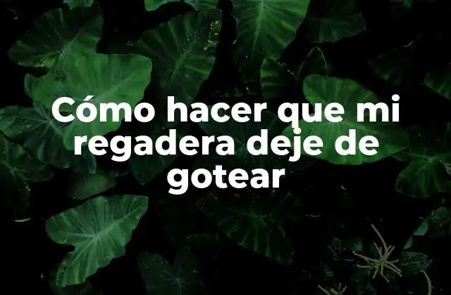 Cómo Hacer que Mi Regadera Deje de Gotear